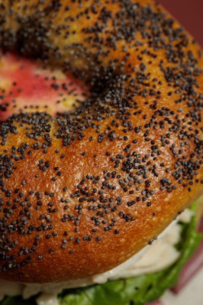 Junto bagel — photo 029